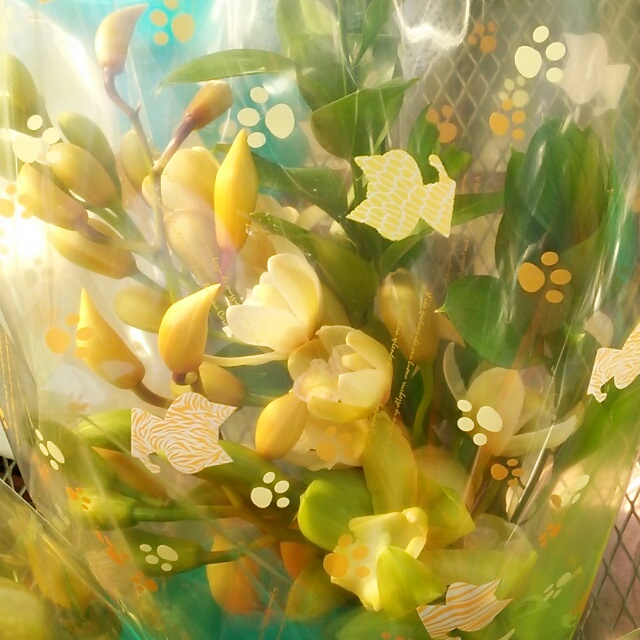 本日の『贈答用♪シンビジュームの花束♪』