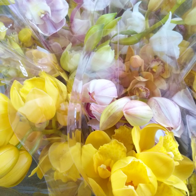 本日の『ミニ花束』♪