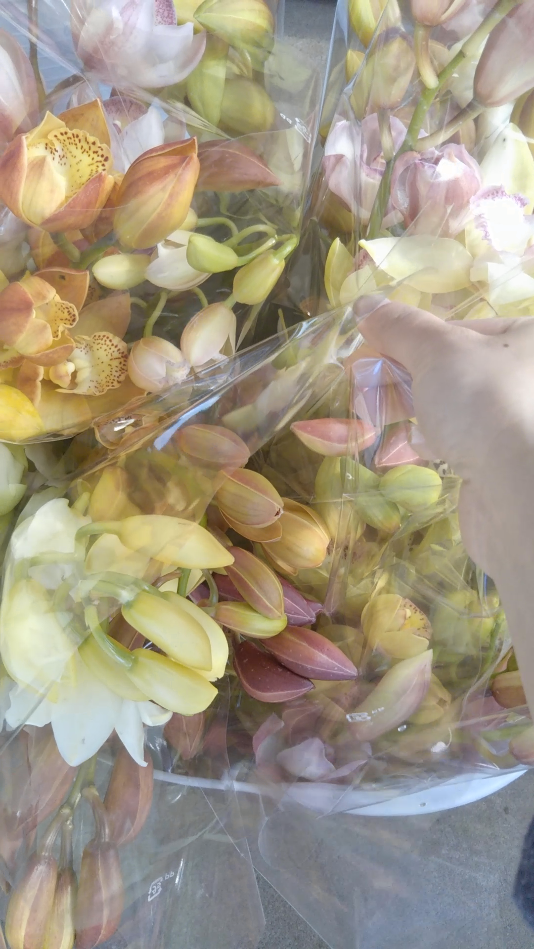 仏壇用のお花にも。ライフスタイルに合わせた使い方ができるオリジナルのミニ花束