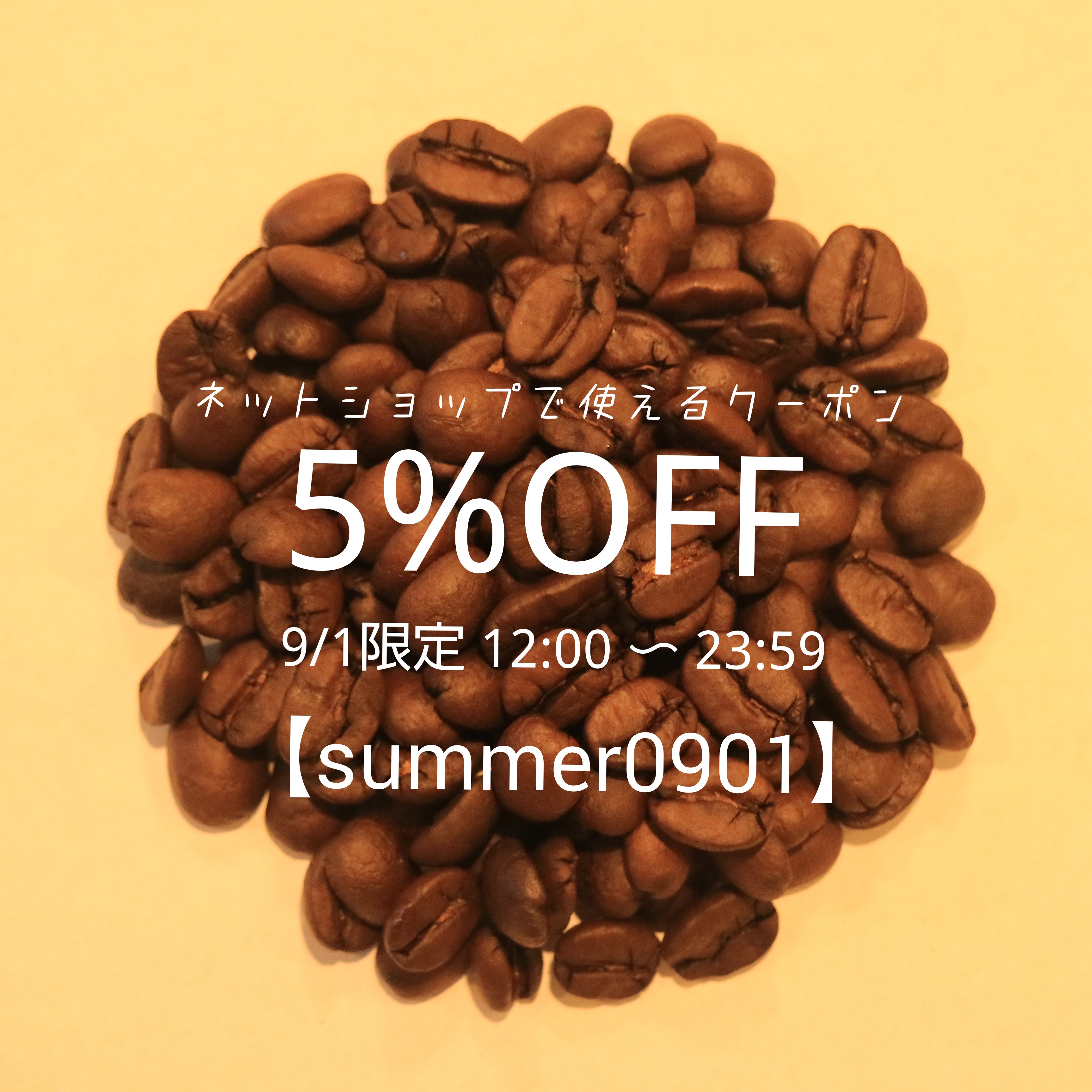 【9/1 12時間限定】5%OFFクーポン配布中！