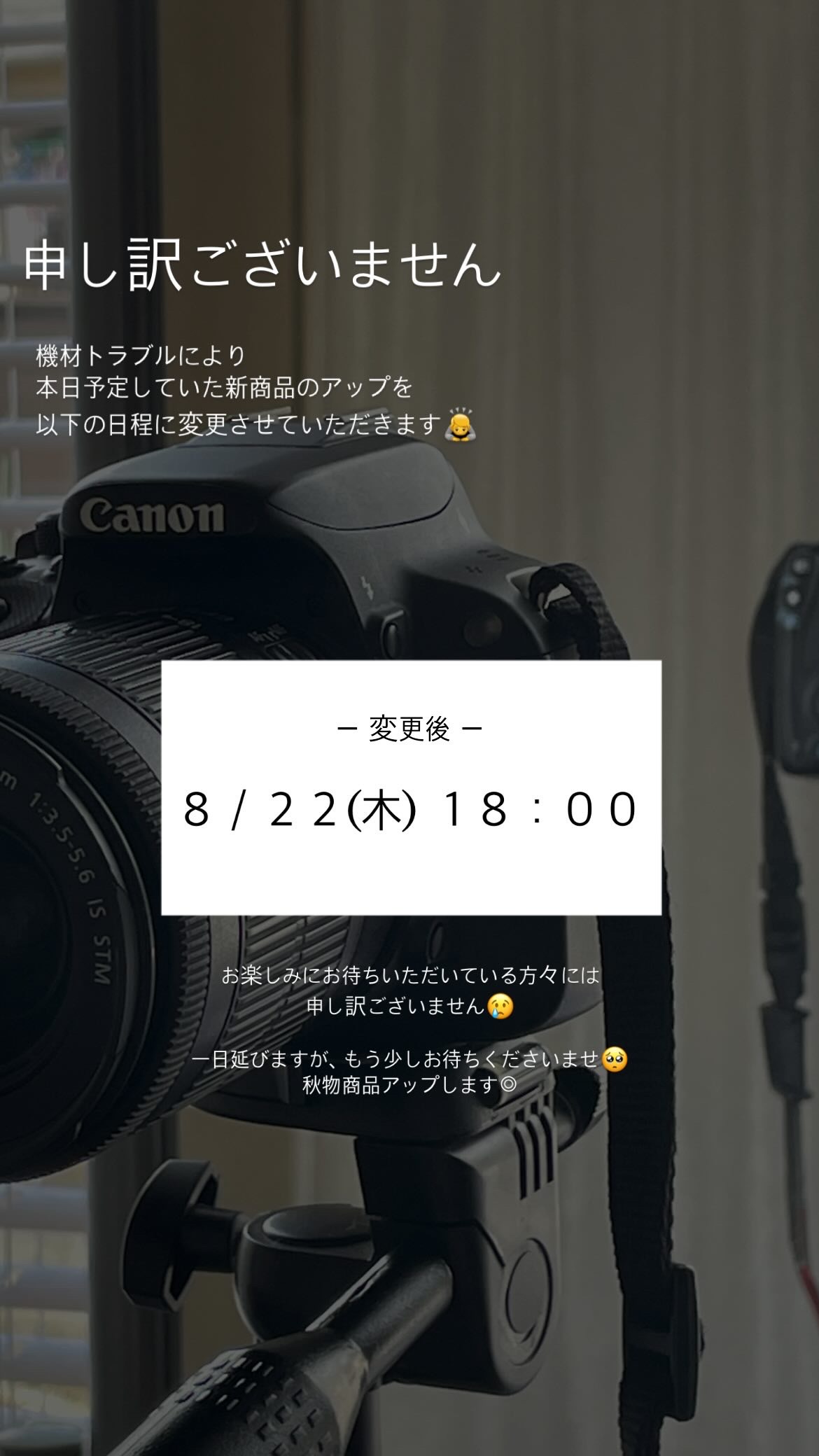 【お詫び】明日に延期します🙇