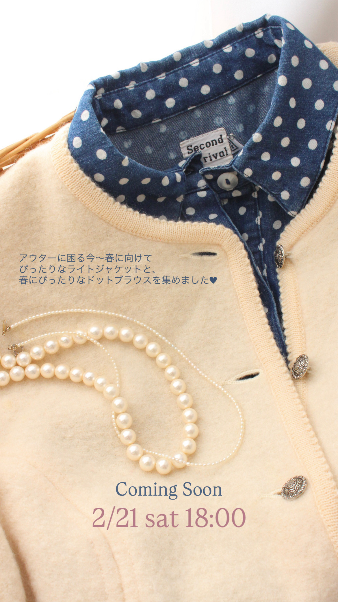 【次回入荷 】2/21(土)18:00🦢✨