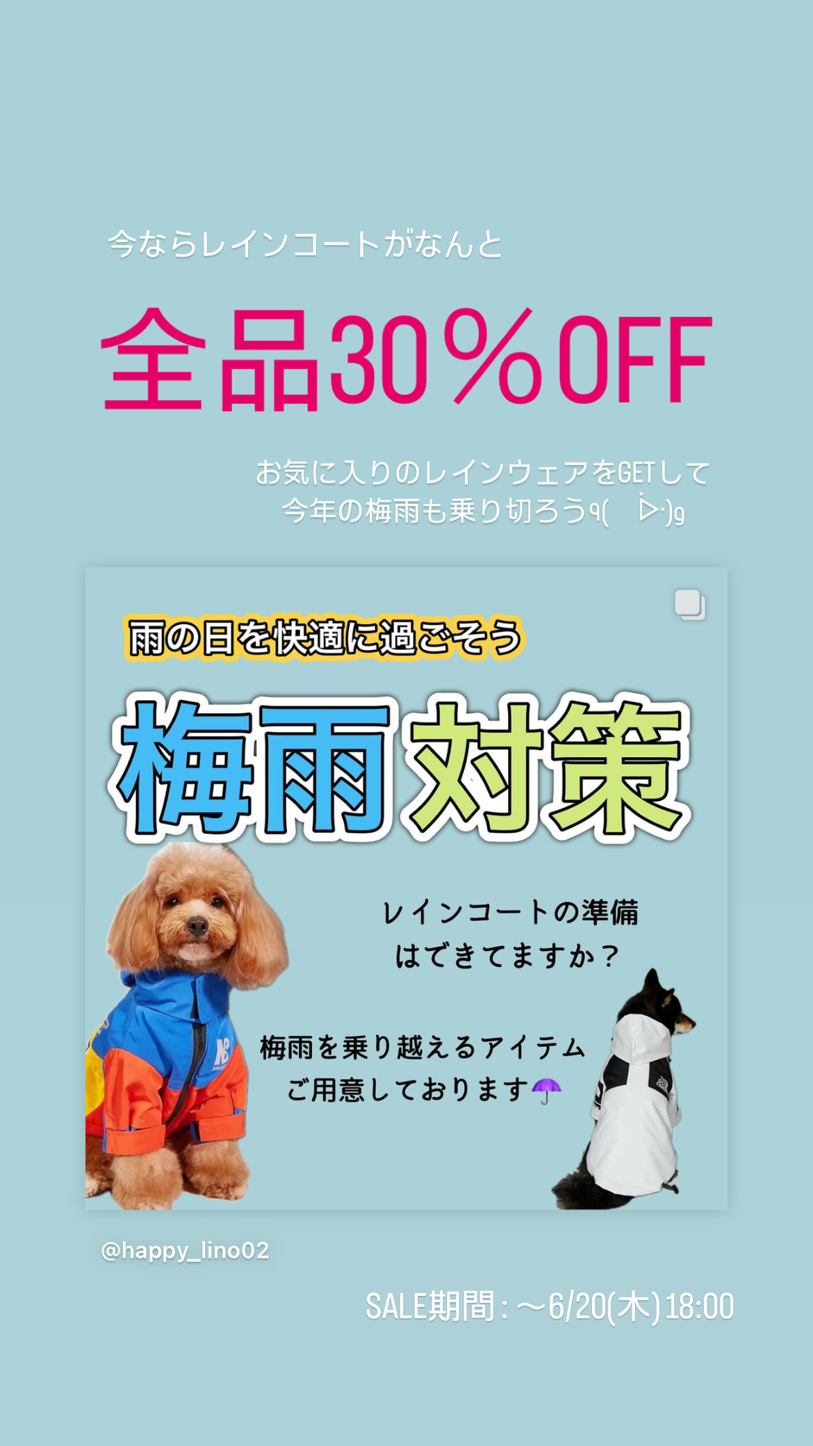 レインウェアSALE