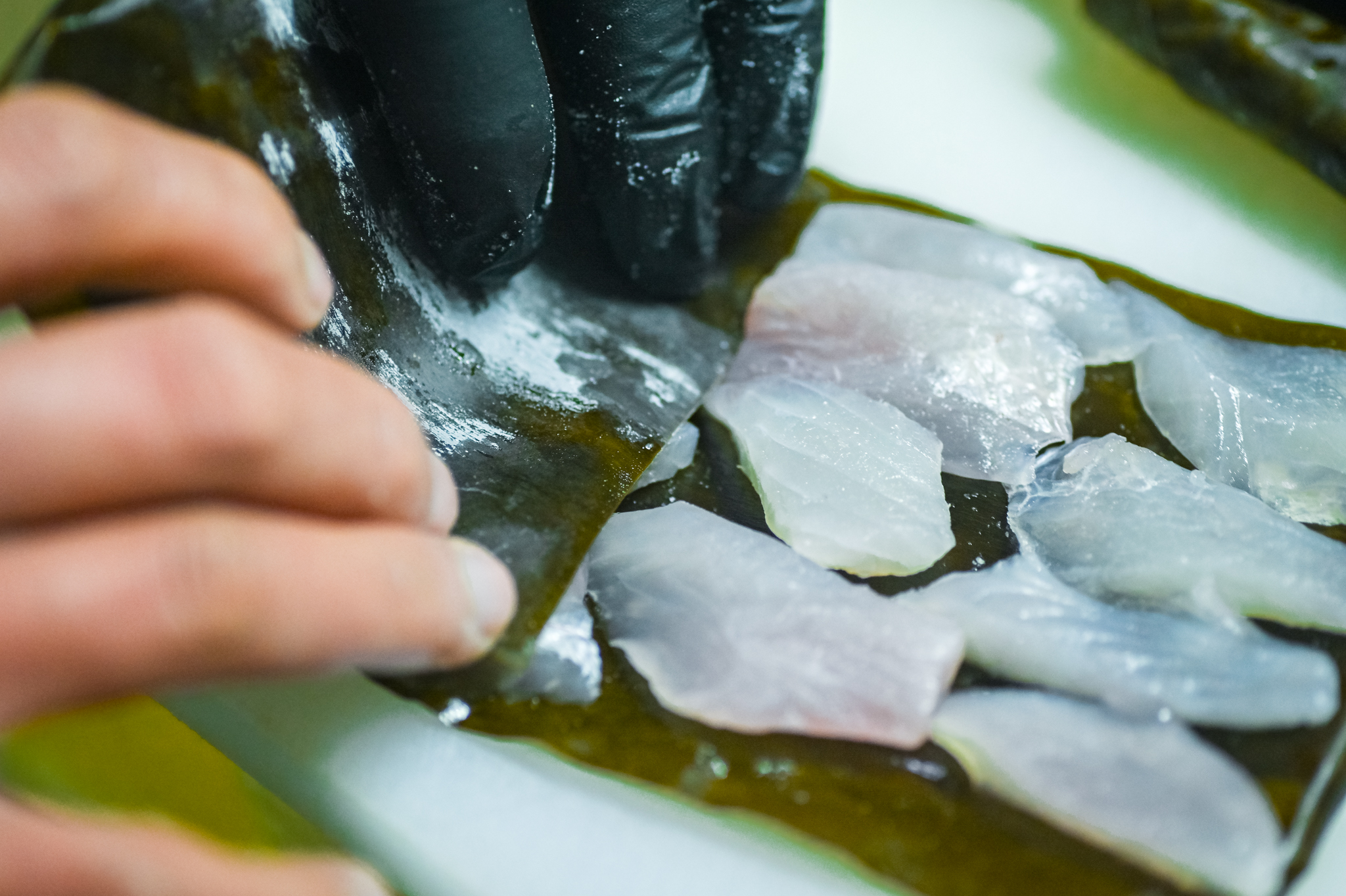 大寒波が生んだ奇跡の味。地元の鮮魚と伝統昆布を贅沢に使用した「富山流！禁断のごはん泥棒セット」を販売