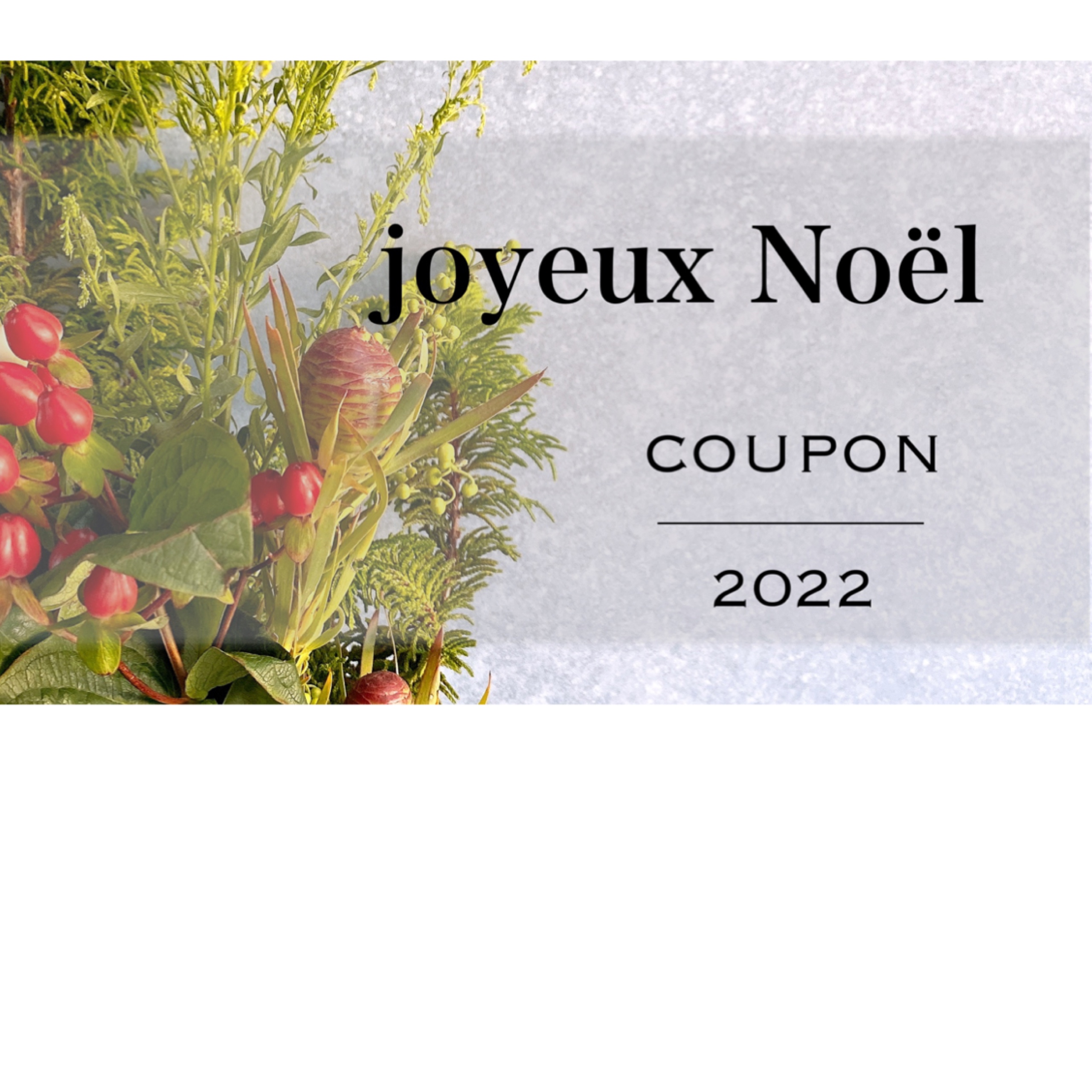 Joyeux noël coupon クーポン