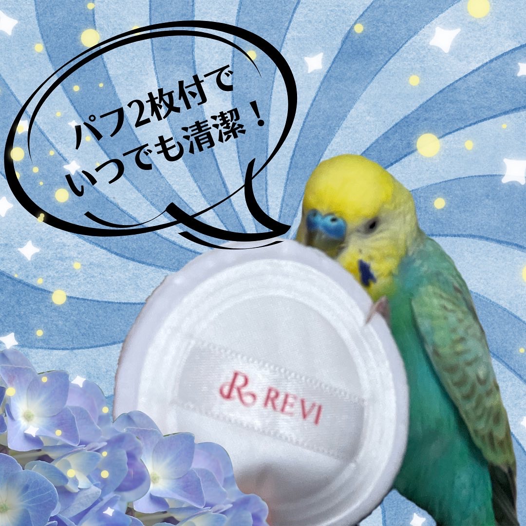 すごいフェイスパウダー新登場！