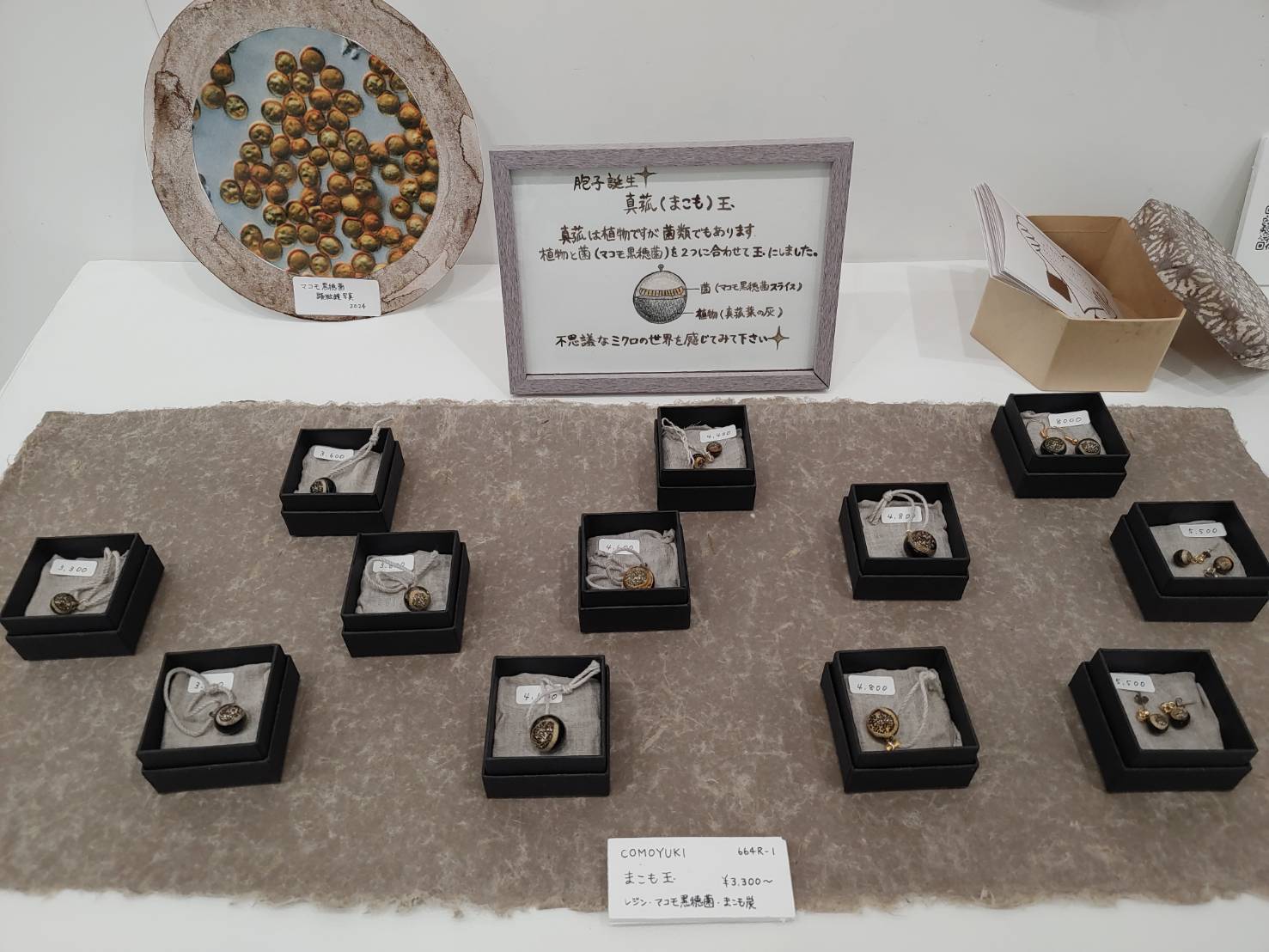 誕生★「まこも玉」