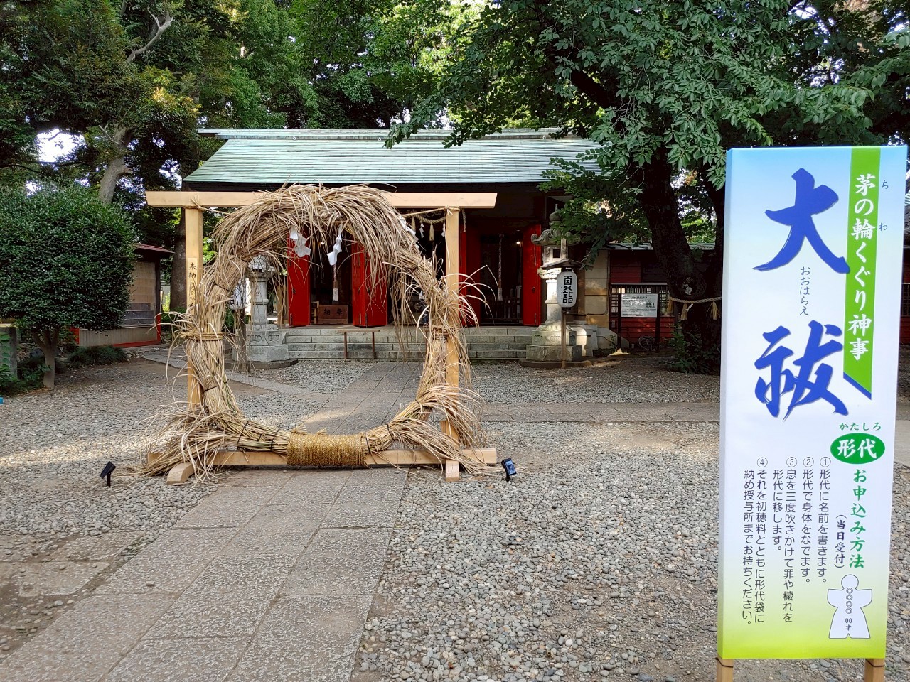 真菰奉納しました⛩️