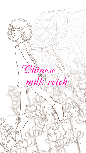 レンゲソウの妖精　ココ