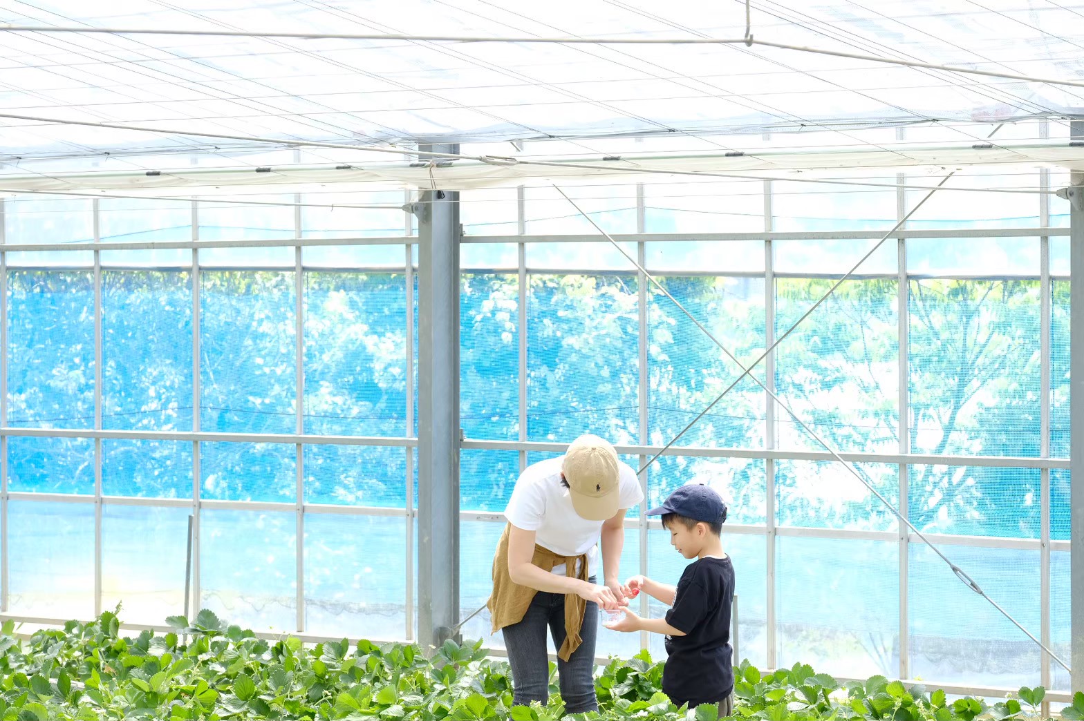 夏季休暇のお知らせ