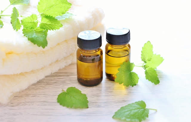 初めまして　「和の精油　アロマの森　JEWEL」です。