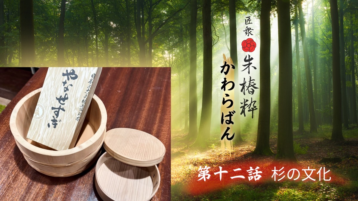 YouTubeラジオ「杉の文化」