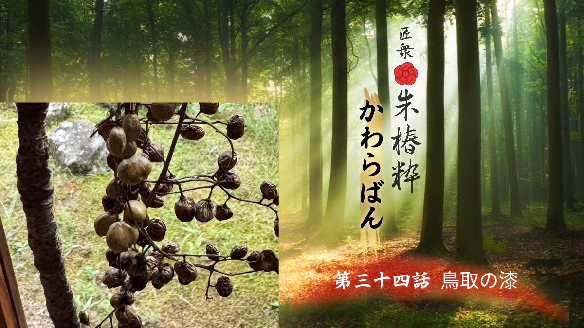 YouTubeラジオ📻「鳥取県の漆について」