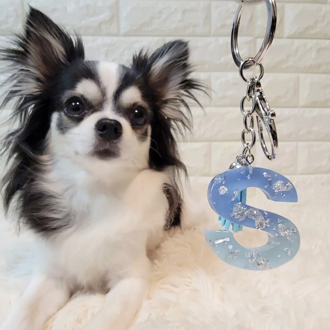 可愛いペットのオリジナルアイテム(^ ^)