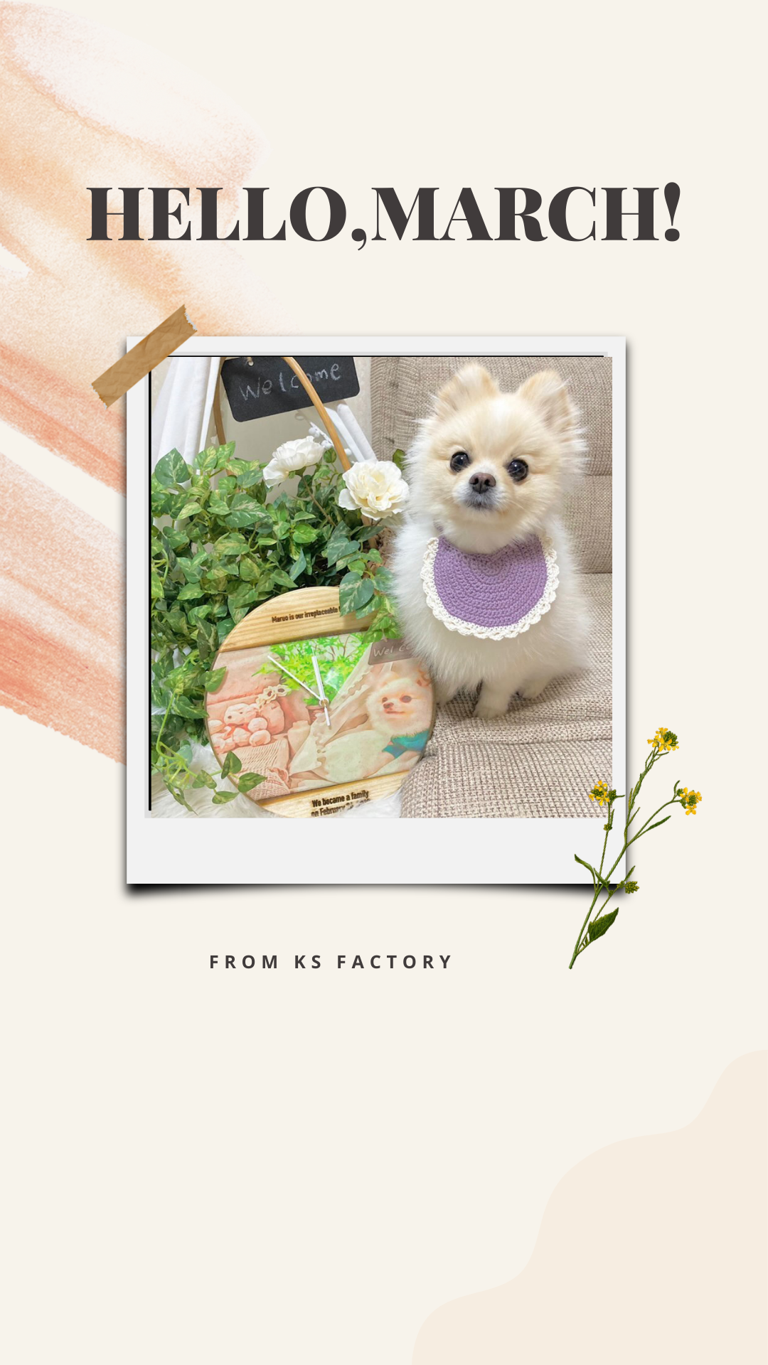 3月スタート!今月もよろしくお願いします★