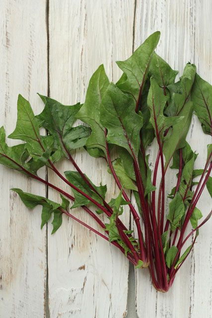 赤紫ほうれん草