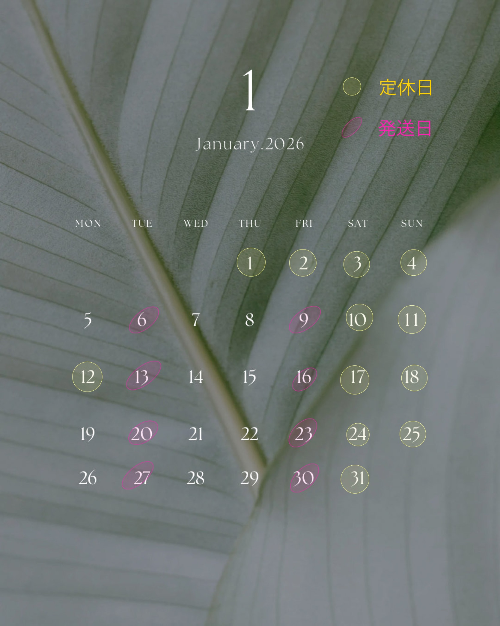 2026年1月のショップスケジュール