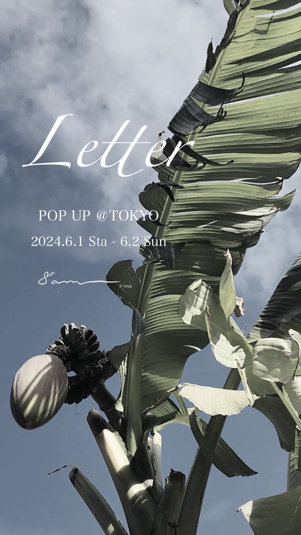 2024.6 POP UP 【Letter】開催のお知らせ