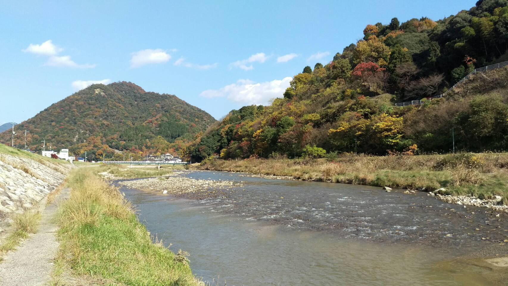 小田亀商店オープンしました。