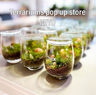 【水戸京成百貨店】テラリウムイベント開催のお知らせ
