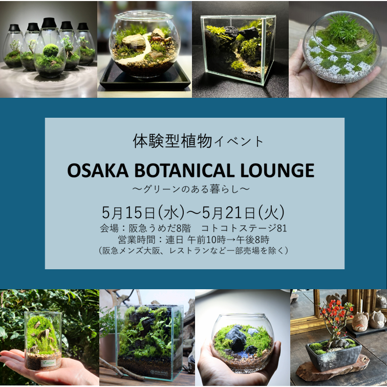 【阪急うめだ本店】2024年5月OSAKA BOTABNICAL LOUNGE開催！！