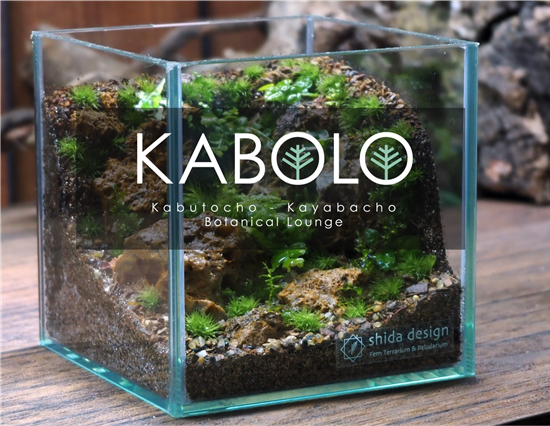 2026年7月 体験型植物イベントKabolo Vol.8 開催のお知らせ