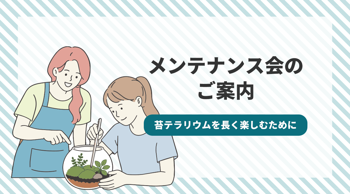 メンテナンス会のご案内🌿