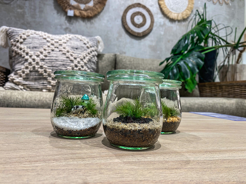 新生活に緑の癒しを　— 苔テラリウムのすすめ —