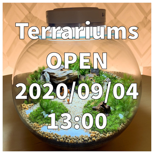 テラリウム専門店　Terrariums　オープン致します。