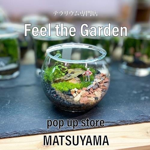 いよてつ髙島屋にて、テラリウムと情景盆栽のPOPUPイベントを開催致します。