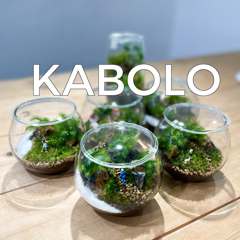 体験型植物イベントKABOLO VOL．５．５を開催します。
