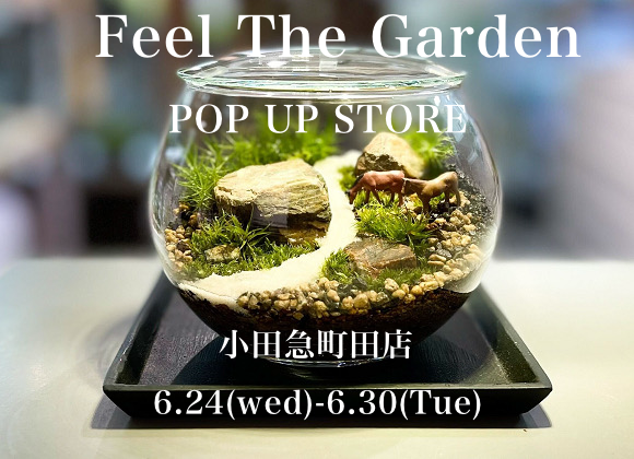 小田急百貨店町田店にてテラリウムイベント開催します。