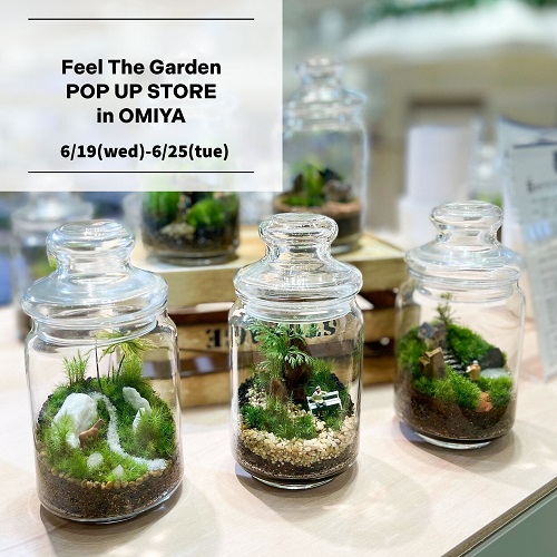 【6月19日～25日】そごう大宮店にて体験型植物イベントを開催いたします。