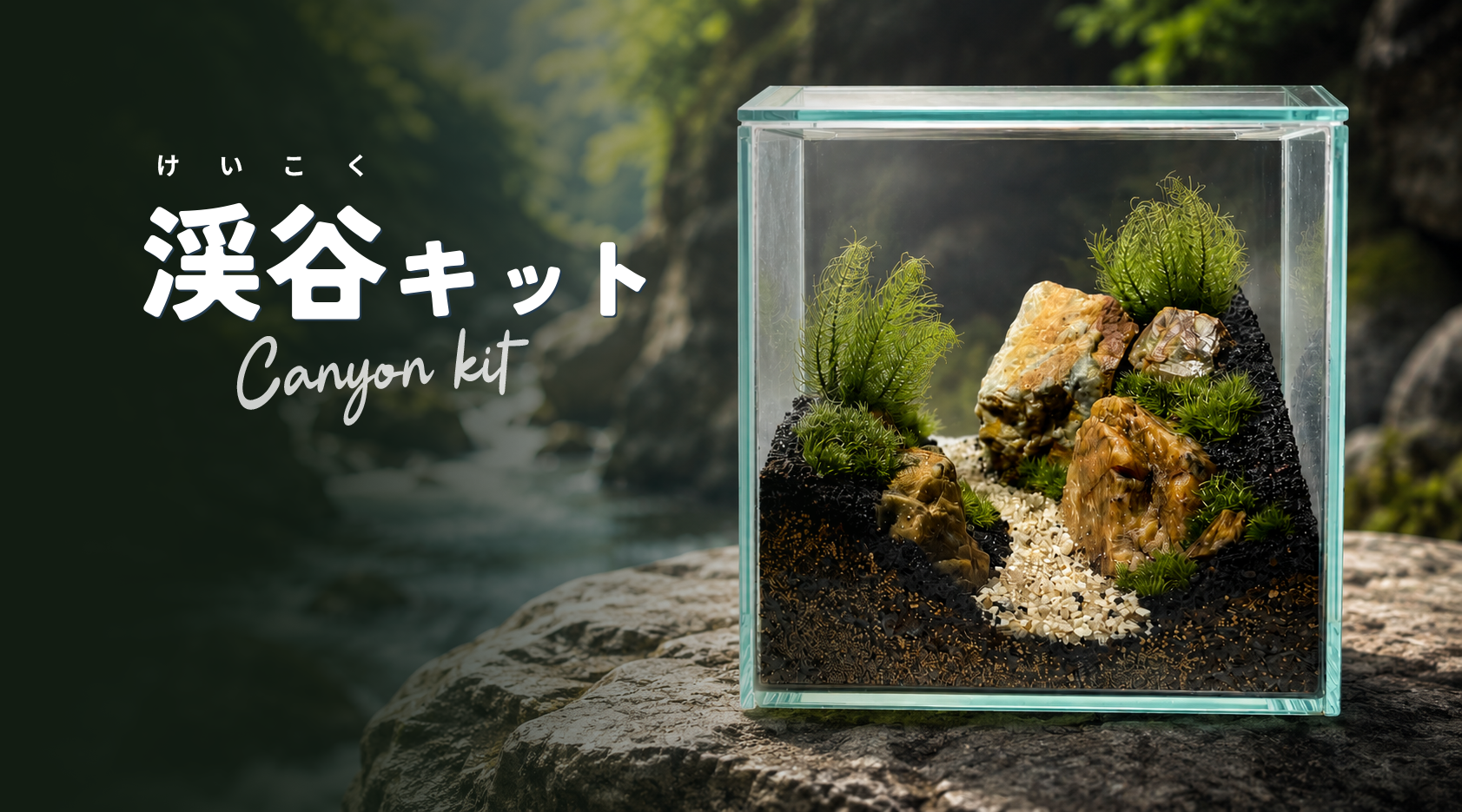 夏限定⛰️「渓谷キット」販売開始‼️