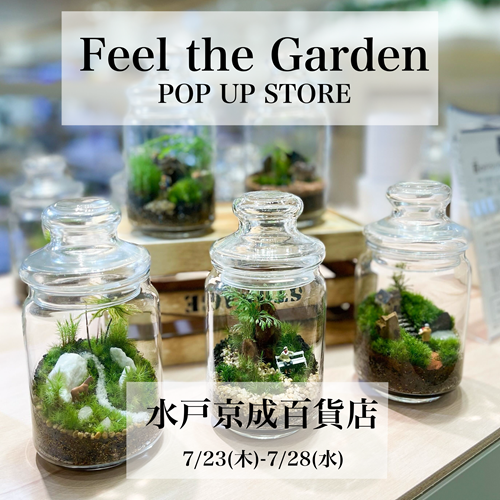 【水戸京成百貨店】テラリウムイベント開催のお知らせ