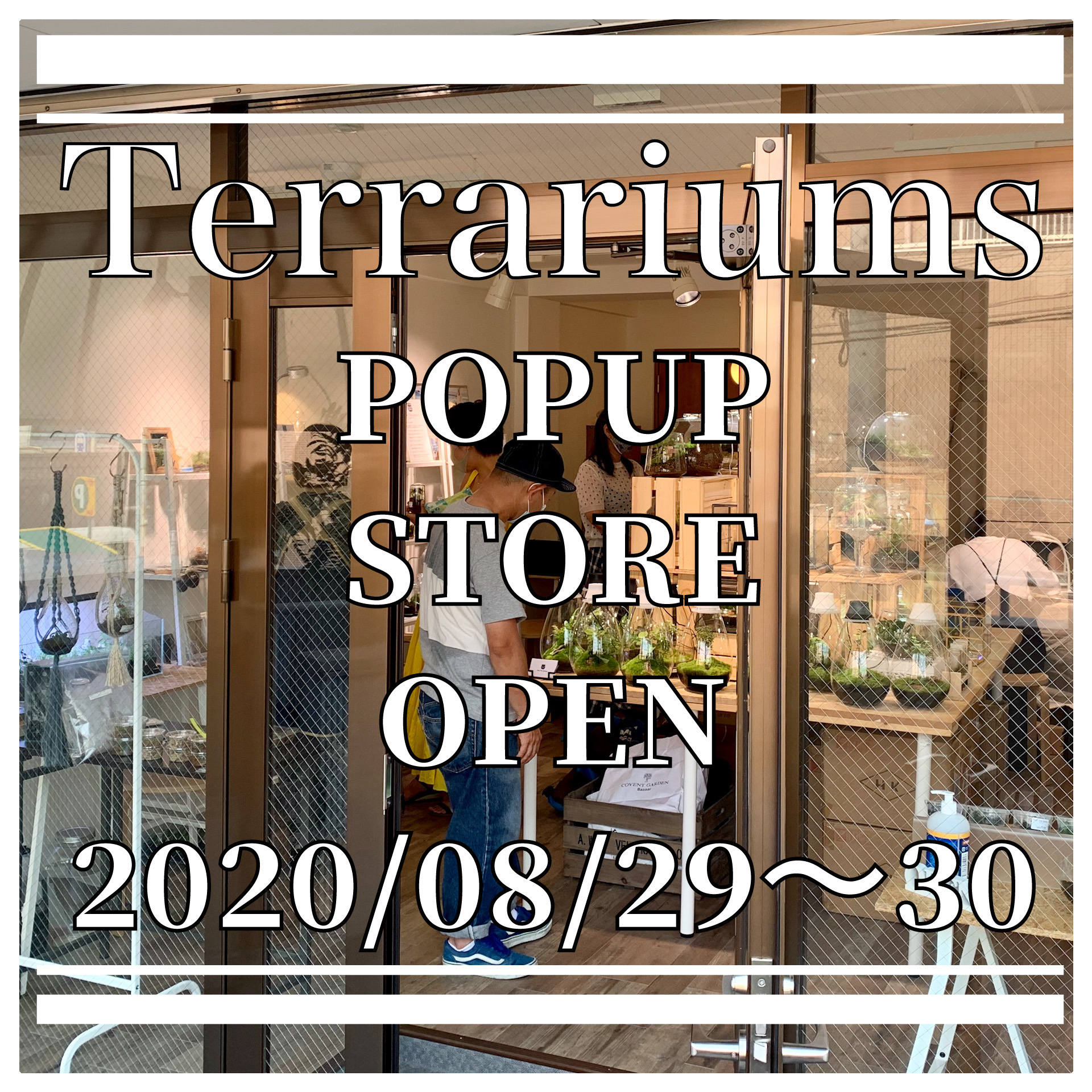 テラリウム専門店　Terrariums　POPUP STORE を開催致します。