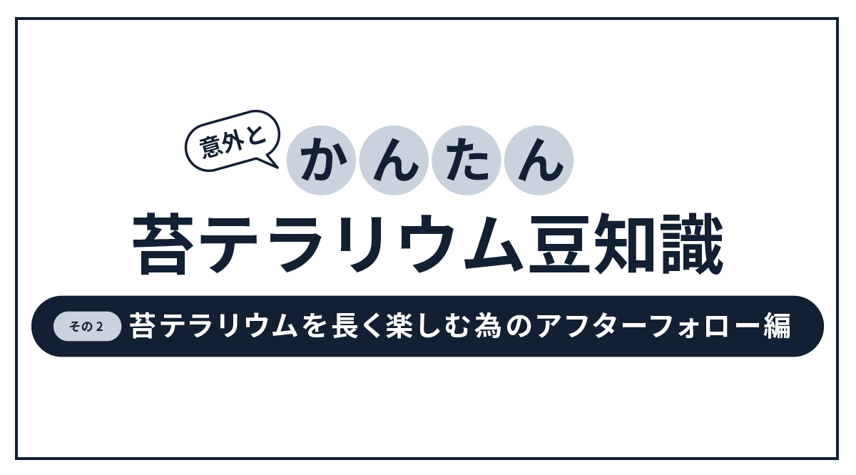 苔テラリウムを長く楽しむ為のアフターフォローについて