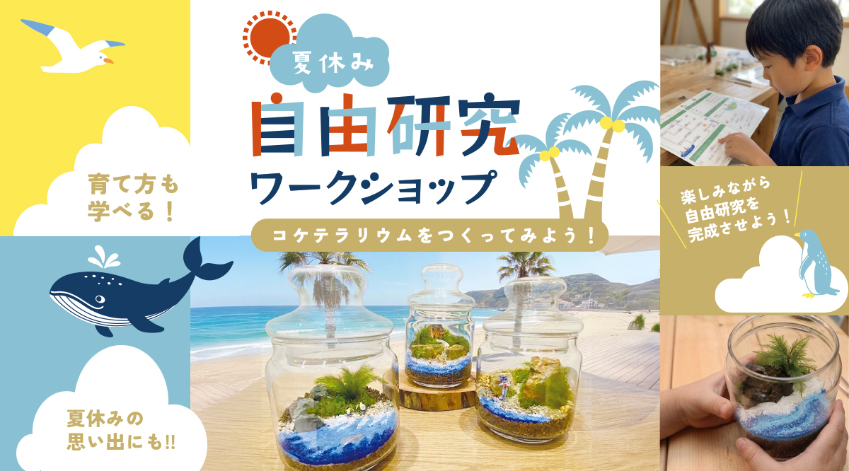 【夏休みワークショップ🏖️】楽しみながら自由研究を完成させよう🌴