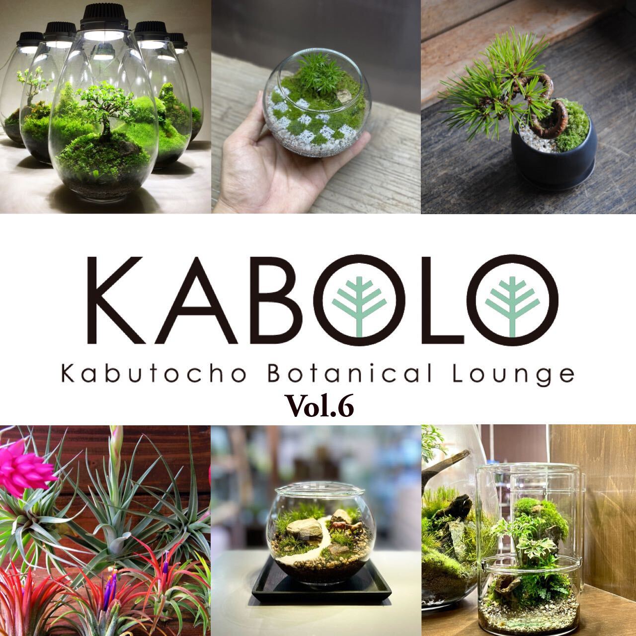 KABOLO Vol.6 開催に関して