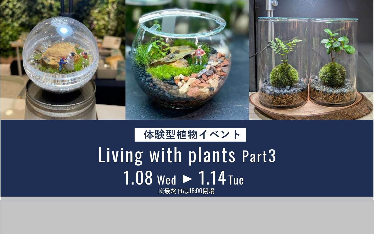【福岡　博多阪急】博多阪急百貨店にて体験型植物イベントを開催いたします。