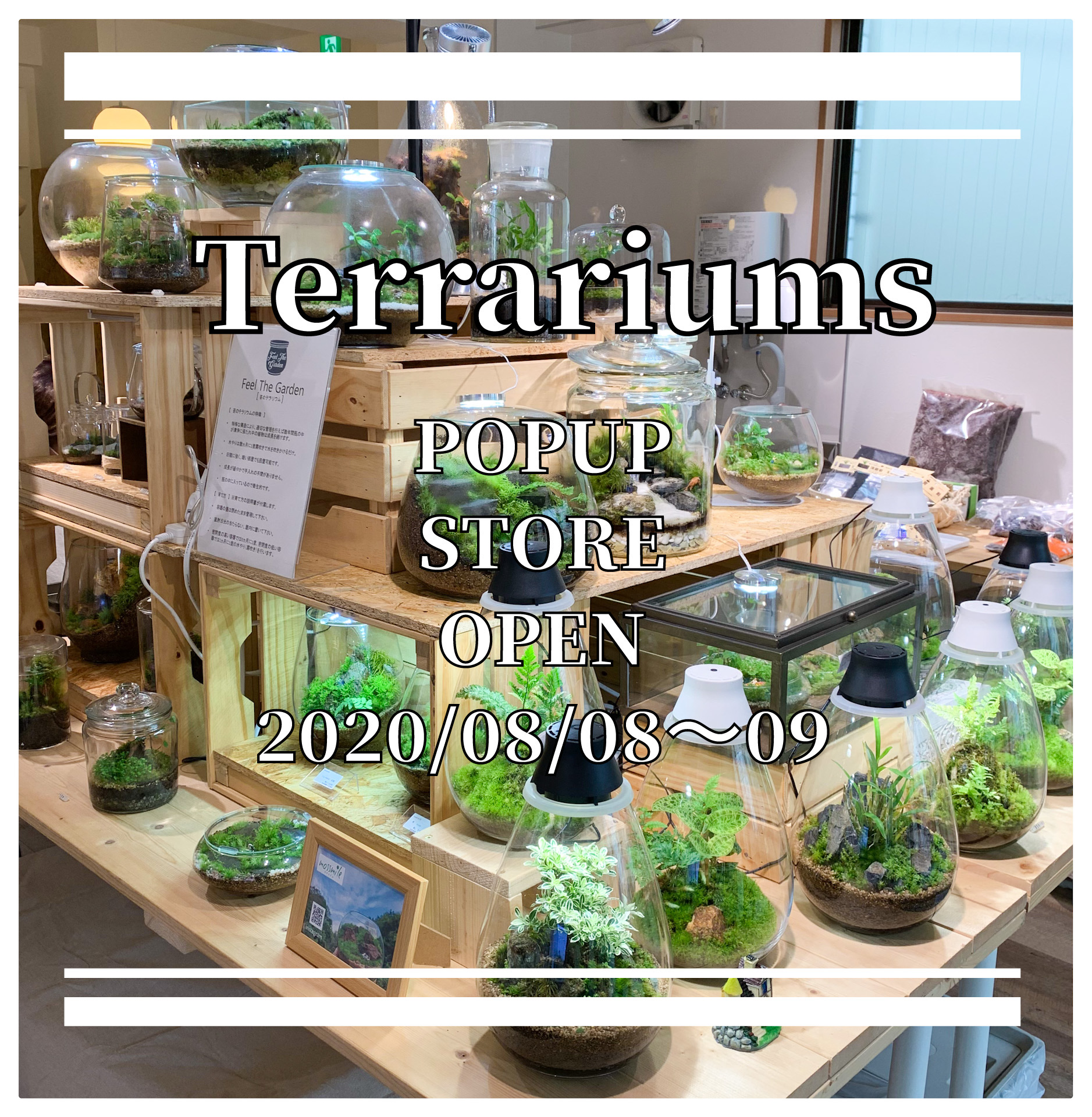 テラリウム専門店　Terrariums　POPUP STORE を開催致します。