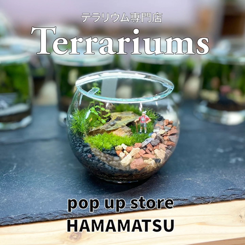 【静岡県　遠鉄百貨店】苔テラリウムイベントのお知らせ