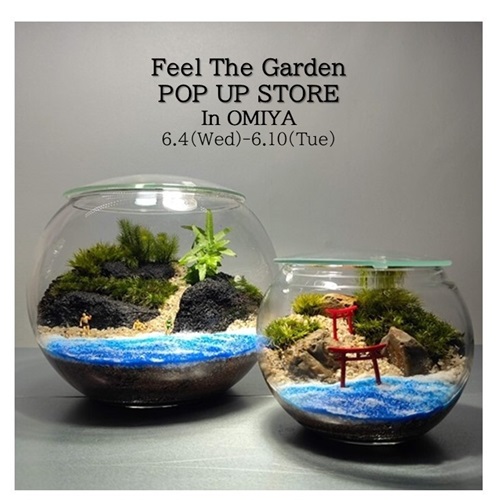 そごう大宮店で体験型植物イベントを開催します。