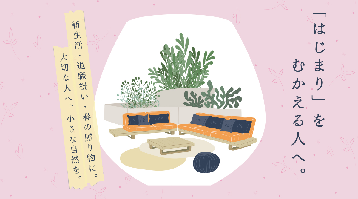 新しい暮らしのはじまりに　— 苔テラリウムという贈り物 —