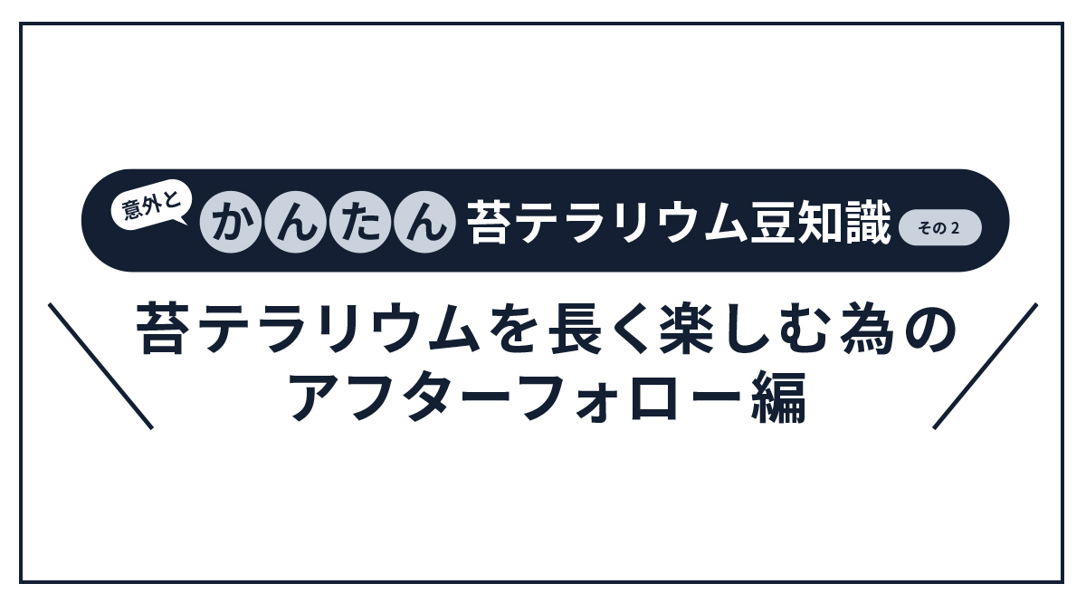 苔テラリウムを長く楽しむ為のアフターフォローについて