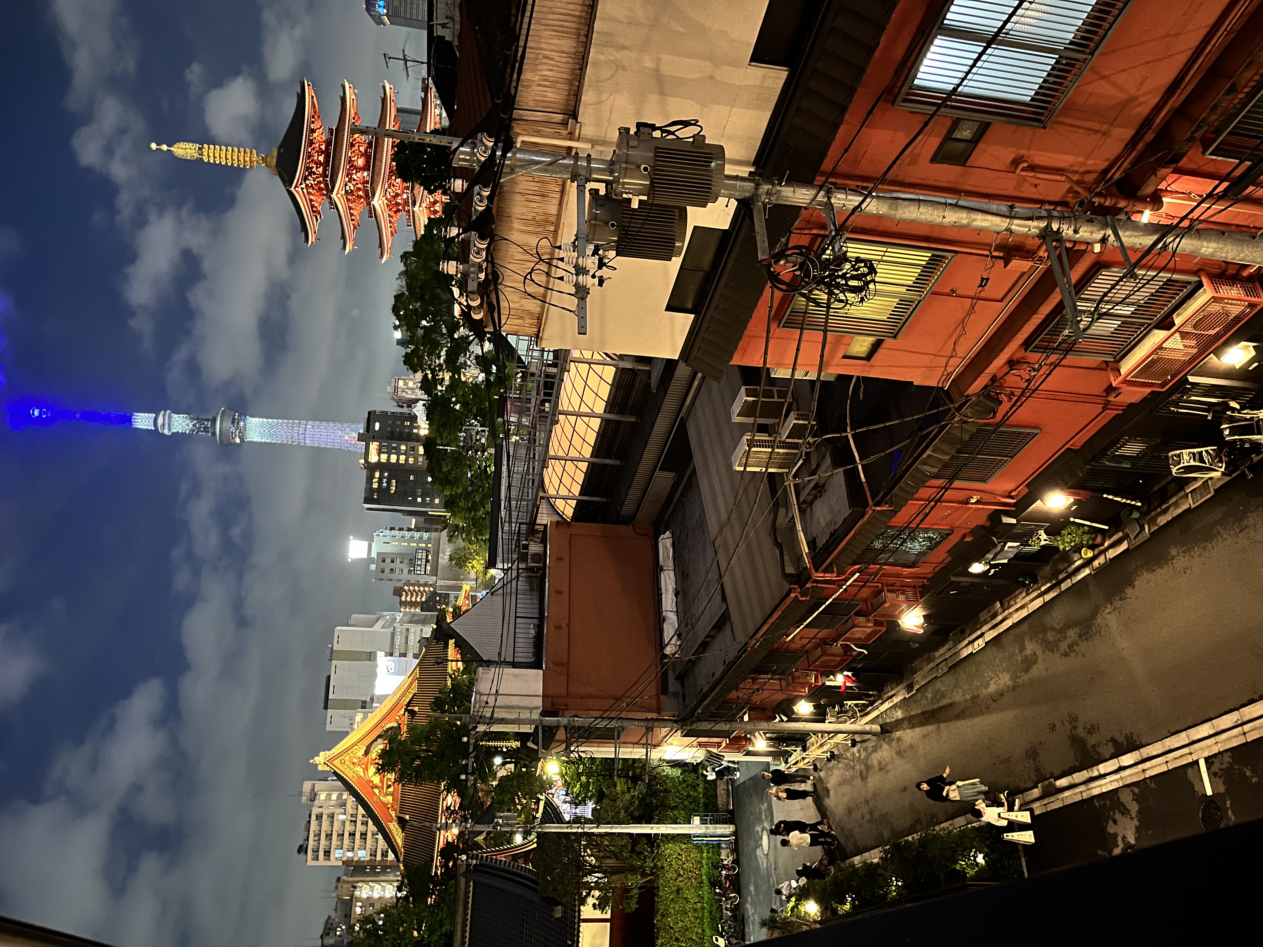 神輿馬鹿この指とまれー４－