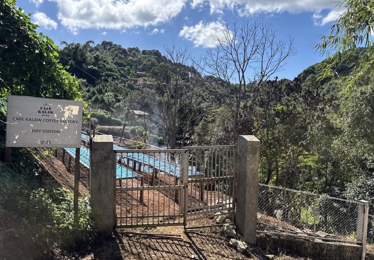 農園便り：収穫の季節を前に