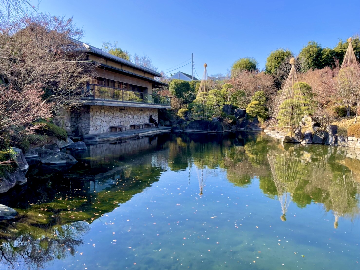 目白庭園　お茶会