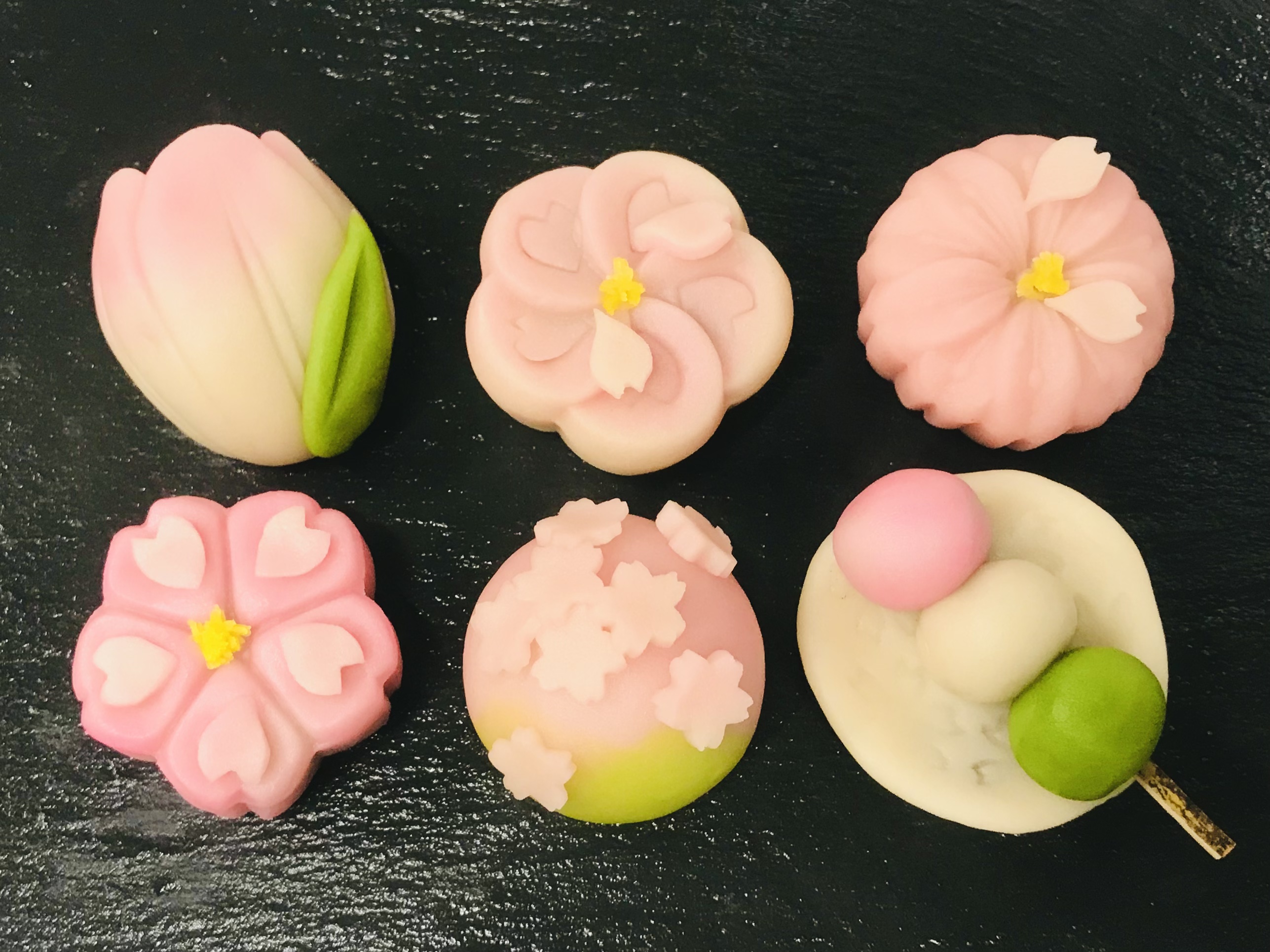 桜始開　煉切