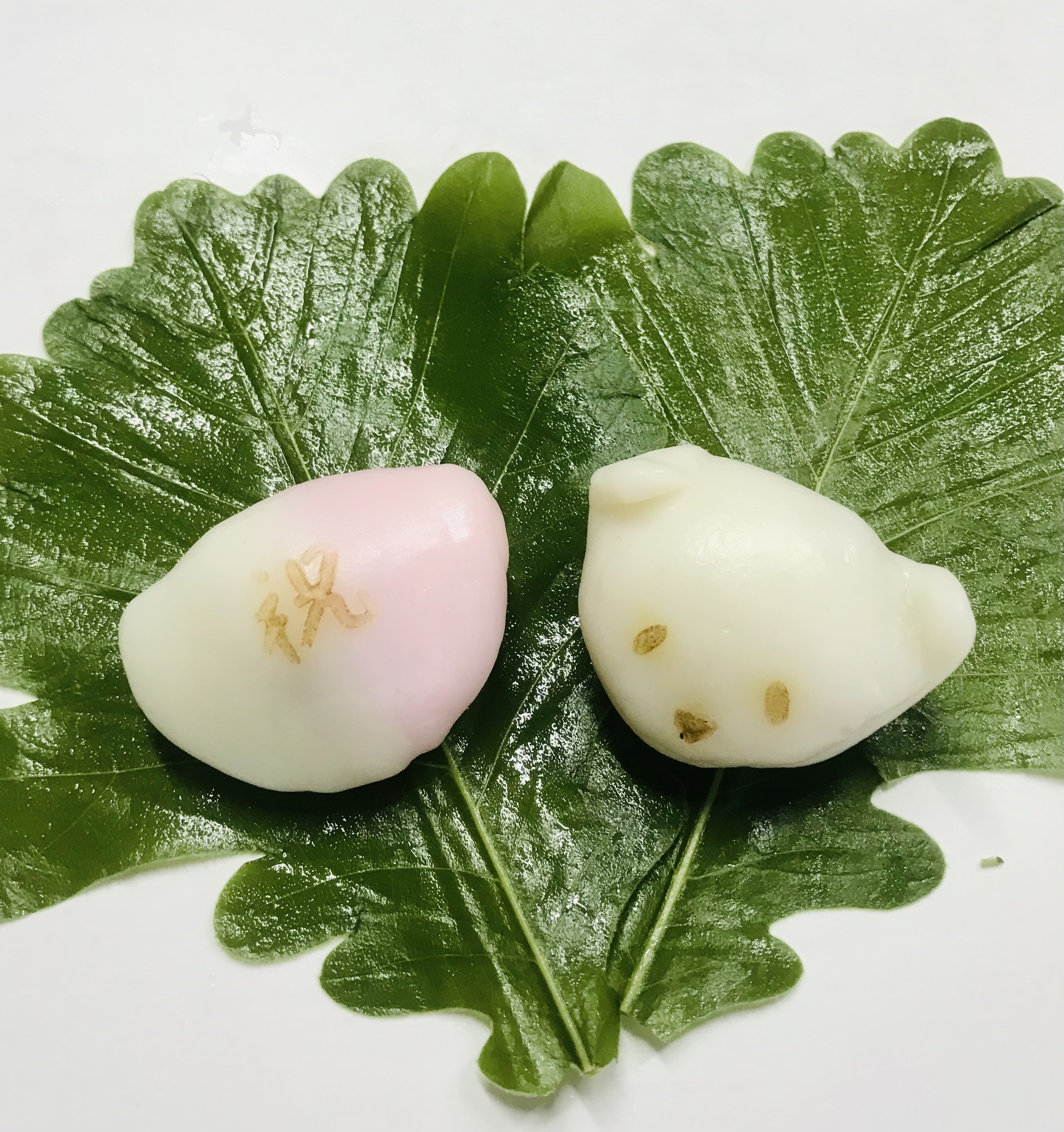 子供の日和菓子　１１
